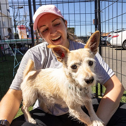 A photo of a shelter dog